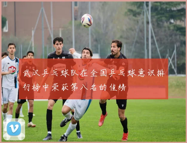 武汉乒乓球队在全国乒乓球意识排行榜中荣获第八名的佳绩