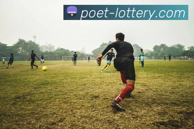 大乐透服务体系